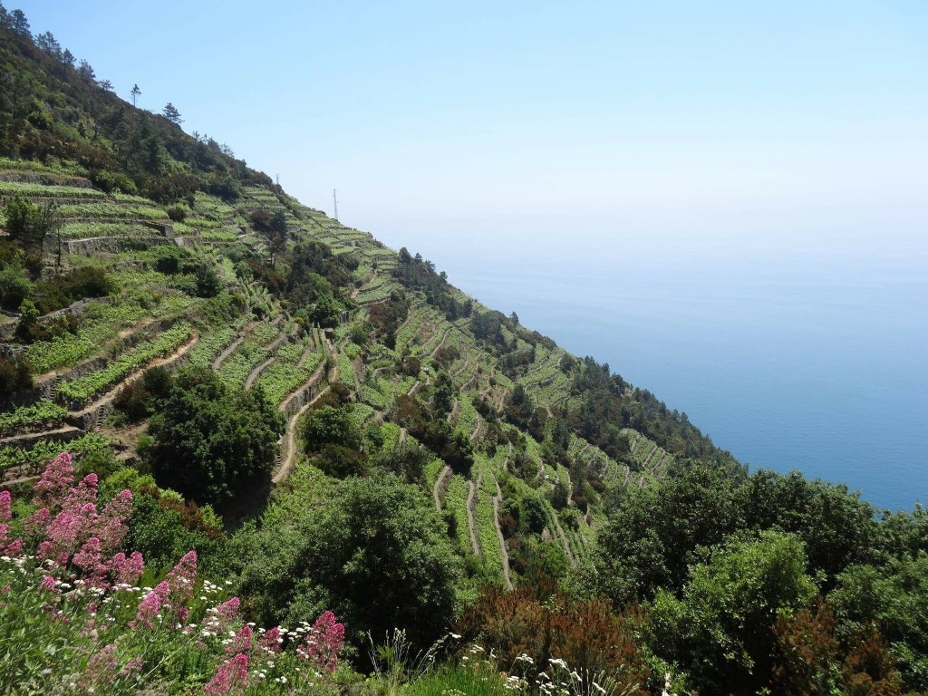 Stunning Snaps That Will Convince You To Visit Cinque&nbsp;Terre