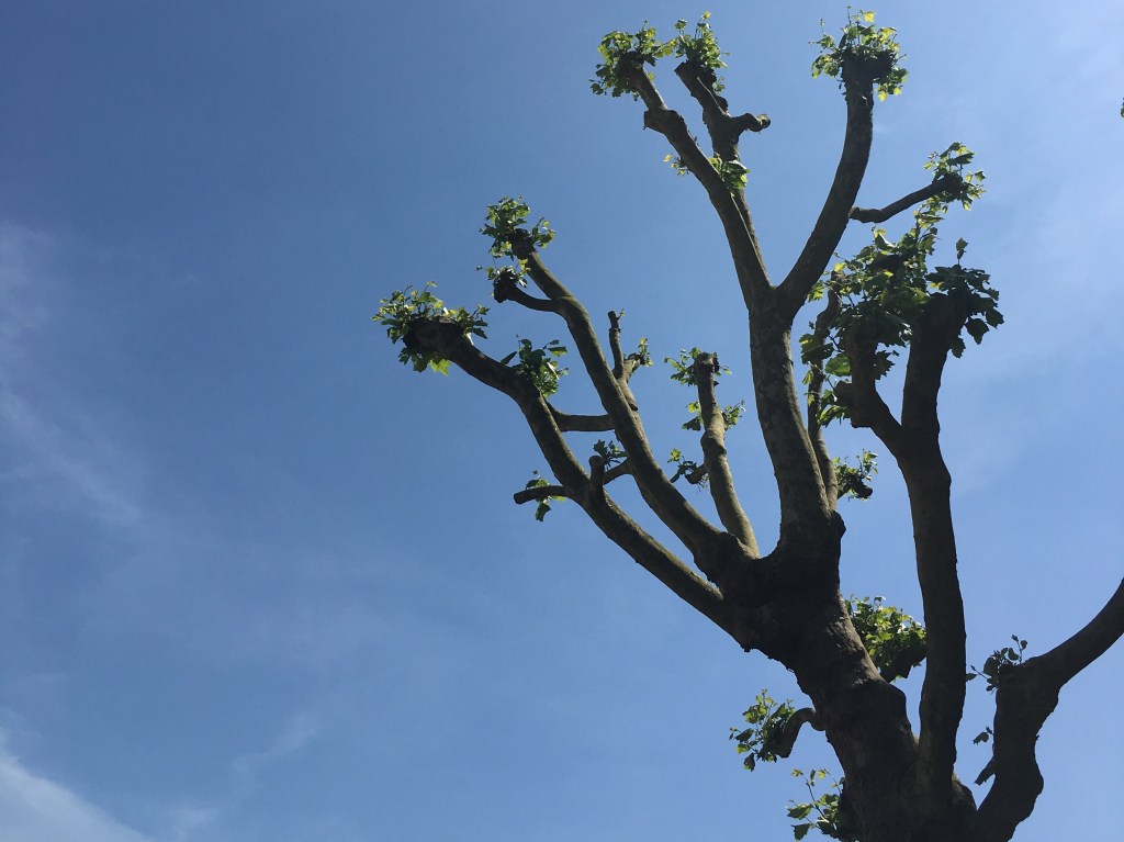 The Thames walk perfect for summer&nbsp;Sundays